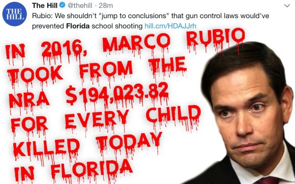NRA_Rubio.jpg large