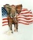 RepublicanElephant_1.jpg